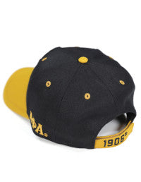 APA CAP