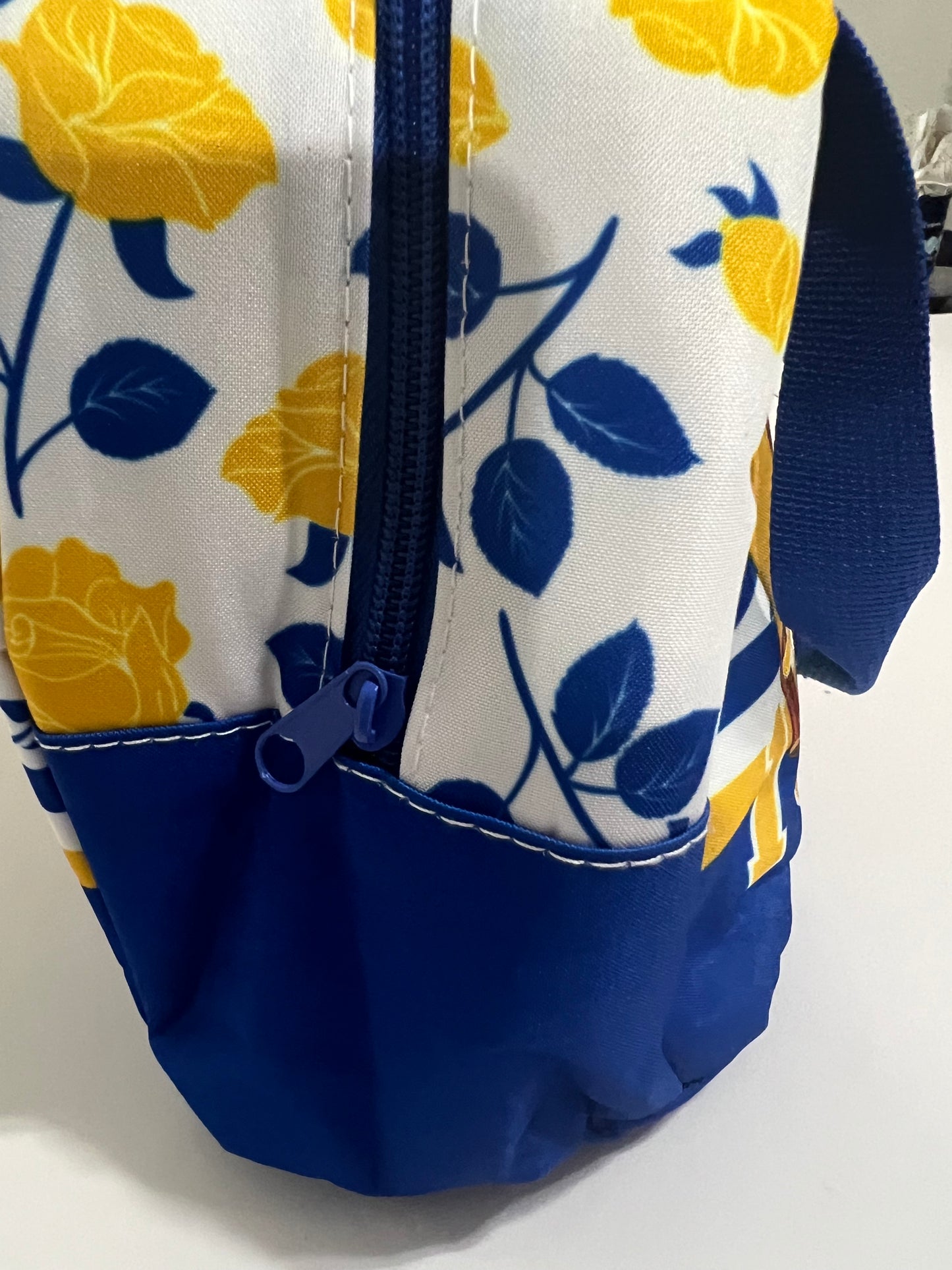 SGRHO LUNCH BAG TOTE MEAL BAG