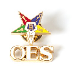 OES 3D COLOR SHIELD PIN W/LETTERS