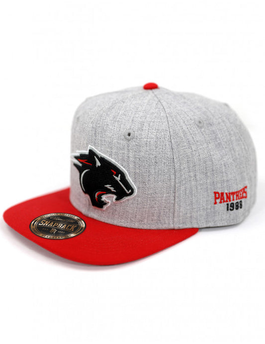 CLARK ATLANTA SNAPBACK