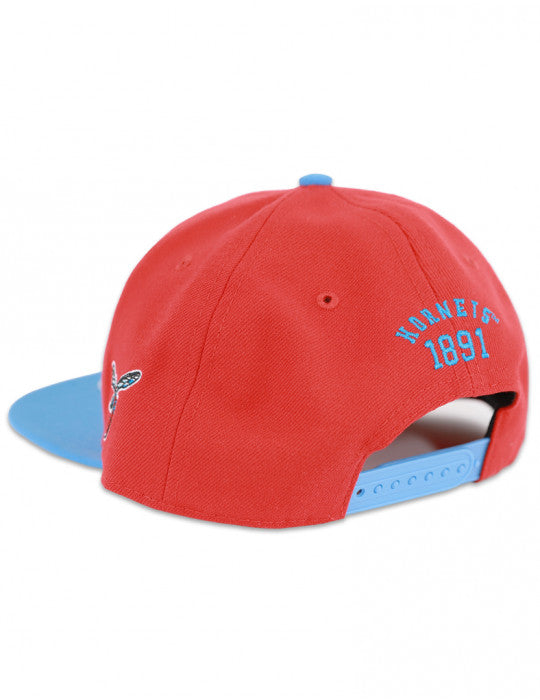 DELAWARE STATE SNAPBACK