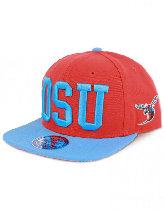 DELAWARE STATE SNAPBACK