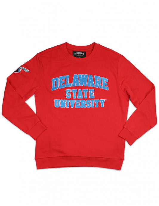 DELAWARE STATE SWEATSHIRT