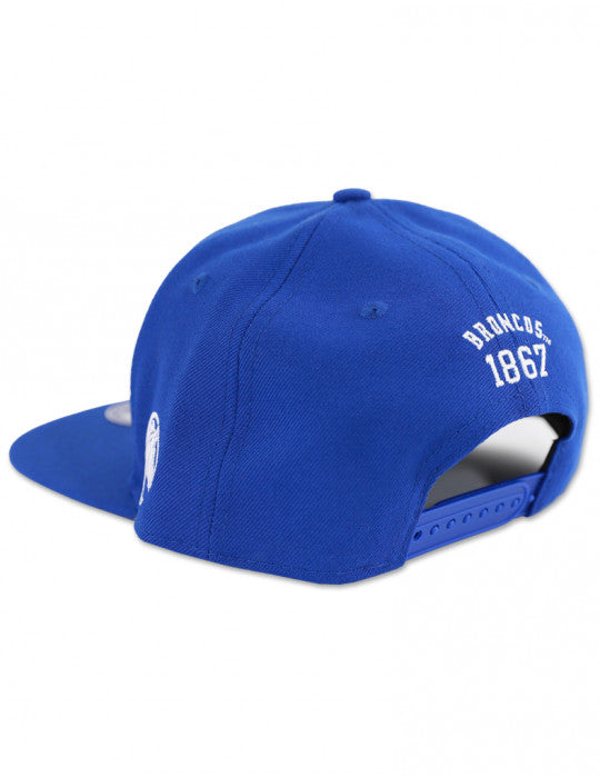 FAYETTEVILLE STATE SNAPBACK