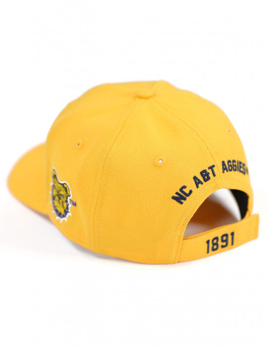 NORTH CAROLINA A&T CAP