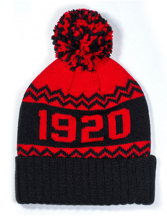 NLBM BEANIE