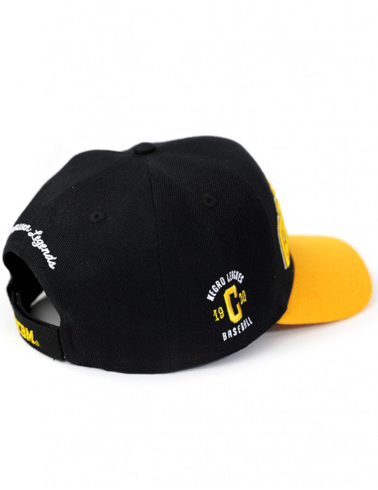 NLBM LEGACY CAP