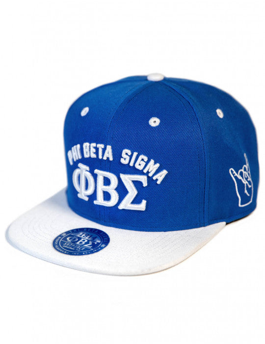 PBS SNAPBACK