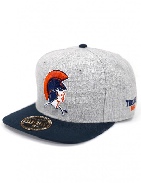 VIRGINIA STATE SNAPBACK