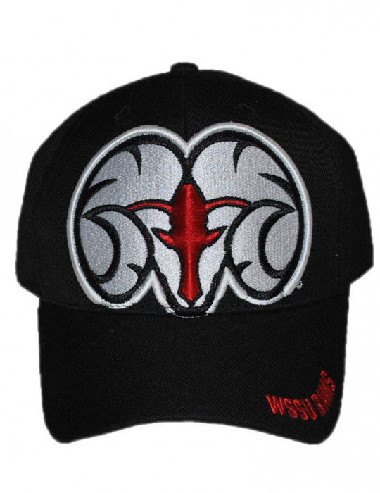 WINSTON SALEM CAP